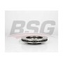BSG 75-210-001 BSG Гальмівний диск