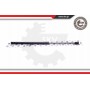 52SKV315 ESEN SKV Газова пружина кришка багажника