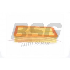BSG 75-135-004 BSG Повітряний фільтр