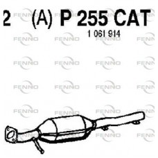 P255CAT FENNO Катализатор