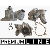 CP 167 000P MAHLE Водяний насос охолодження двигуна