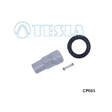 CP065 TESLA Вилка, Свічка запалювання