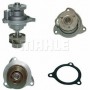 CP 111 000P MAHLE Водяний насос охолодження двигуна