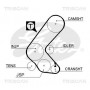 8647 24006 TRISCAN Комплект ременя ГРМ