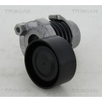 8641 253012 TRISCAN НАТЯЖИТЕЛЬ РЕМЕНЯ, клиновой зубча