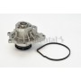 WP6071 CONTINENTAL CTAM Водяний насос охолодження двигуна