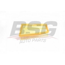 BSG 75-135-001 BSG Повітряний фільтр