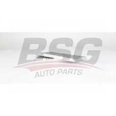 BSG 75-145-014 BSG Фільтр повітря у внутрішньому просторі