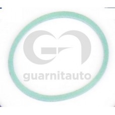 184765-8300 GUARNITAUTO Прокладка впускного колектора