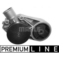 CP 323 000P MAHLE Водяний насос охолодження двигуна