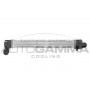 Интеркулер AUTOGAMMA 107308