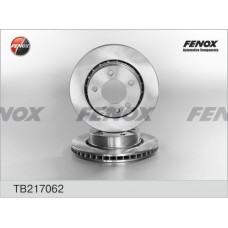 TB217062 FENOX Гальмівний диск