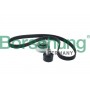 B10210 Borsehung Комплект ременя ГРМ