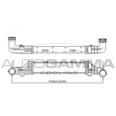 102399 AUTOGAMMA Интеркулер