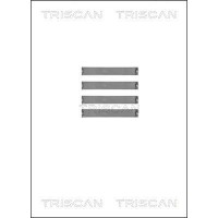 8105 231589 TRISCAN Комплектуючі колодки дискового гальма
