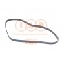 140-07130 IAP QUALITY PARTS Поліклиновий ремінь
