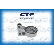 CBH31003L CTE Підвіска важіль незалежної підвіски колеса