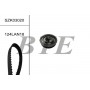 SZK03020 BTE Комплект ременя ГРМ