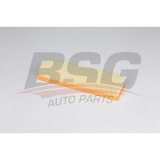 BSG 60-135-045 BSG Повітряний фільтр