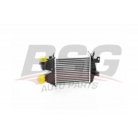 BSG 65-535-006 BSG Интеркулер
