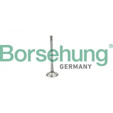 впускний клапан Borsehung B19025