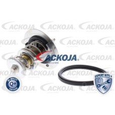 A52-99-0019 ACKOJA Термостат охолоджувальна рідина