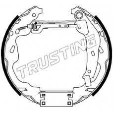 6488 TRUSTING Комплект гальмівних колодок