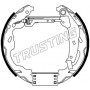 6488 TRUSTING Комплект гальмівних колодок