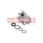 T0049 KAMOKA Водяний насос охолодження двигуна
