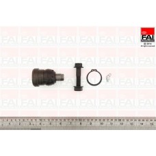 SS4648 FAI AutoParts Шарнір незалежної підвіски поворотного важеля