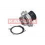 T0114 KAMOKA Водяний насос охолодження двигуна