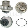 CP 429 000P MAHLE Водяний насос охолодження двигуна