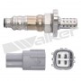 250-24288 WALKER PRODUCTS датчик кисню