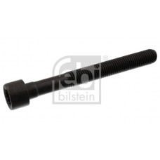Болт головки циліндра FEBI-BILSTEIN 07978