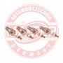 BKR6E-11-ST-SET/4/MS MASTER-SPORT GERMANY Свічка запалювання