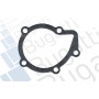 PA10273 BUGATTI Водяний насос охолодження двигуна