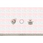 WP2492 FAI AutoParts Водяний насос охолодження двигуна