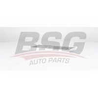 BSG 75-145-009 BSG Фільтр повітря у внутрішньому просторі