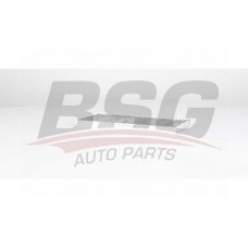 BSG 75-145-009 BSG Фільтр повітря у внутрішньому просторі