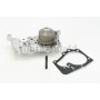 WP6009 CONTINENTAL CTAM Водяний насос охолодження двигуна