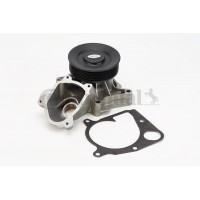 WPS3017 CONTINENTAL CTAM Водяний насос охолодження двигуна