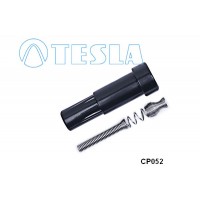 CP052 TESLA Вилка, Свічка запалювання