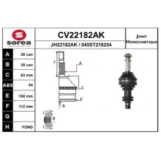 CV22182AK EAI Шарнирный комплект, Привідний вал