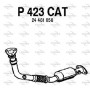 P423CAT FENNO Катализатор