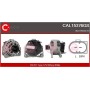 CAL15376GS CASCO Генератор