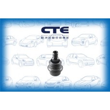 CBJ21006 CTE Шарнір незалежної підвіски поворотного важеля