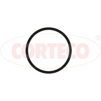 450205P CORTECO Прокладка впускного колектора