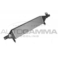 107395 AUTOGAMMA Интеркулер