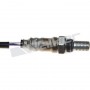 250-24696 WALKER PRODUCTS датчик кисню