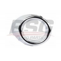BSG 30-921-011 BSG Облицювання протитуманна фара